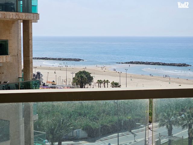 אריה בן אליעזר 21