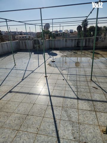 דירת גן