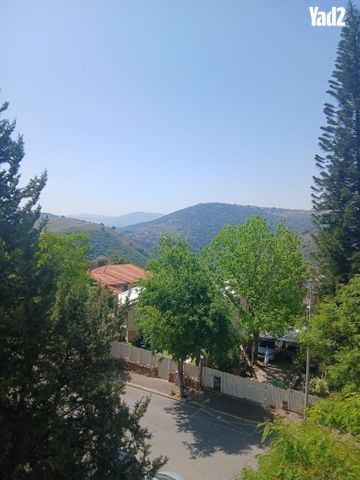 הפרחים 