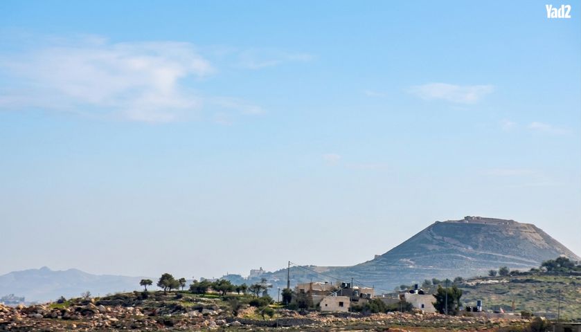 מוריה 36