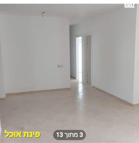דב ברייר 8