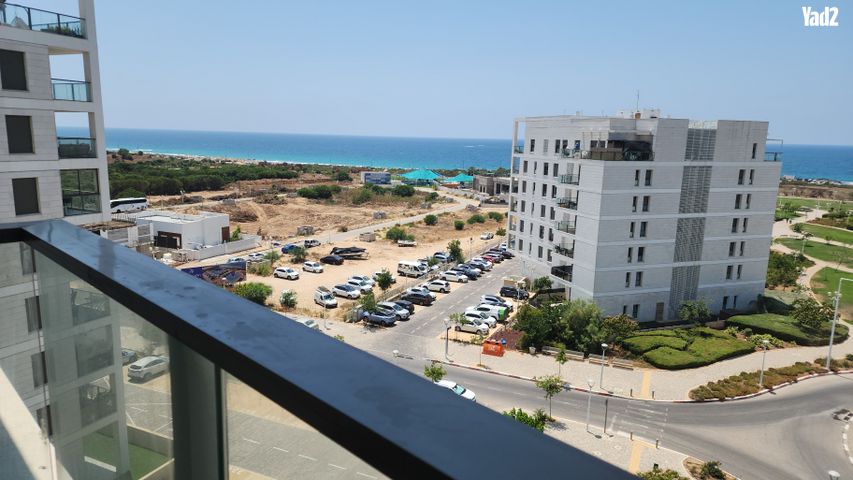 אלמוג 8