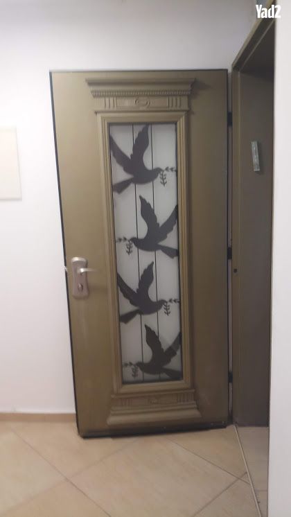 אנפה 13