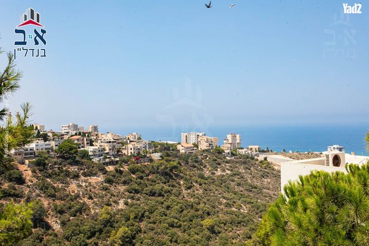 אילנות 