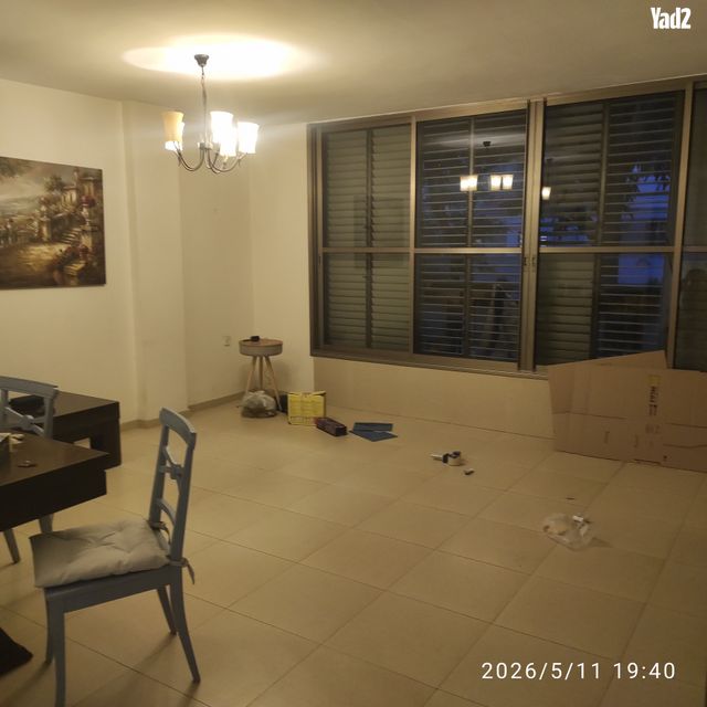 דוד צבי פנקס 