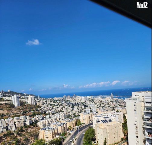 ניסנבוים 