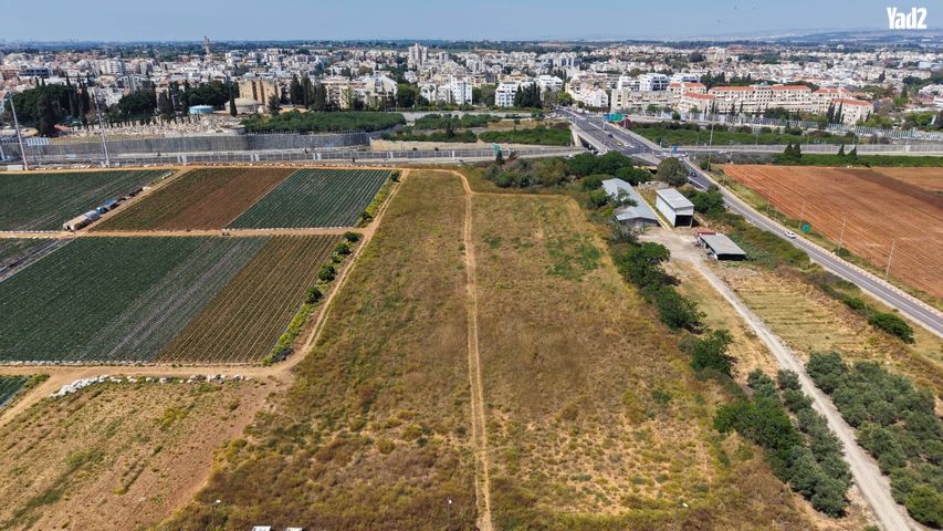 יצחק בן צבי 
