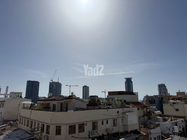 הכרמל 54