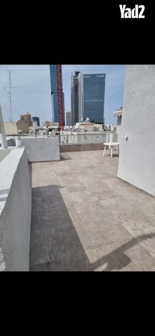 פרחי אביב 