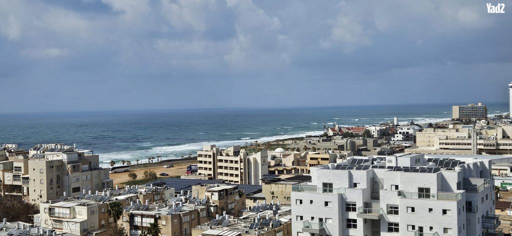 הרב הרצוג 
