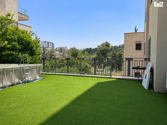 אורן 46