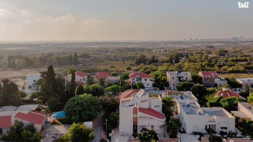 עצמונה 13