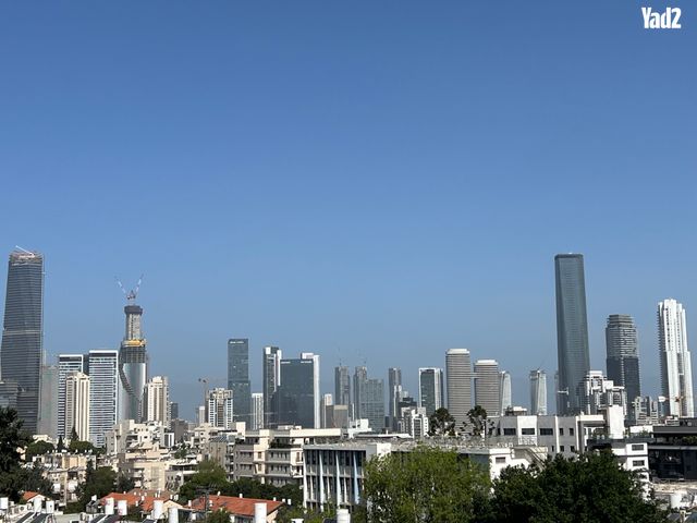 ריינס 30