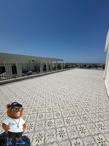 גג/ פנטהאוז להשכרה בתל אביב יפו — 3
