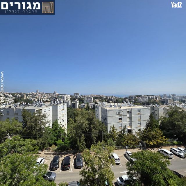 אורן 
