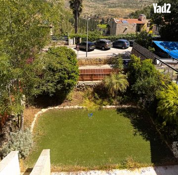 הסנונית 