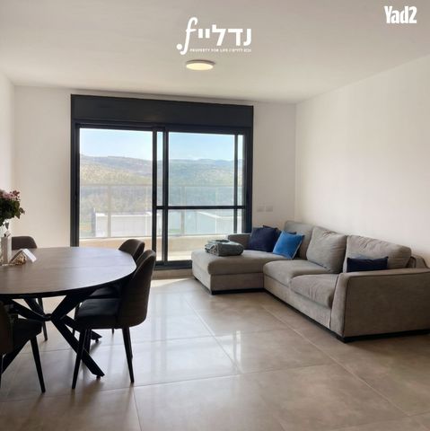 רועי קליין 25