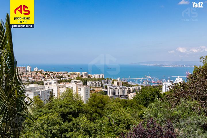 גולדמן 