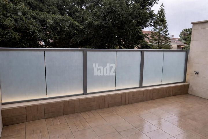 לוי אשכול