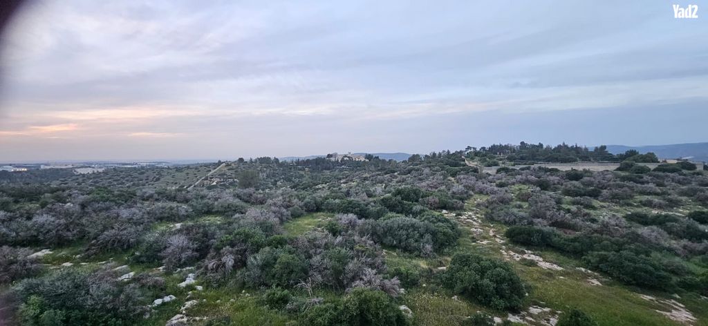 דובב מישרים / רמת בית שמש ד-1