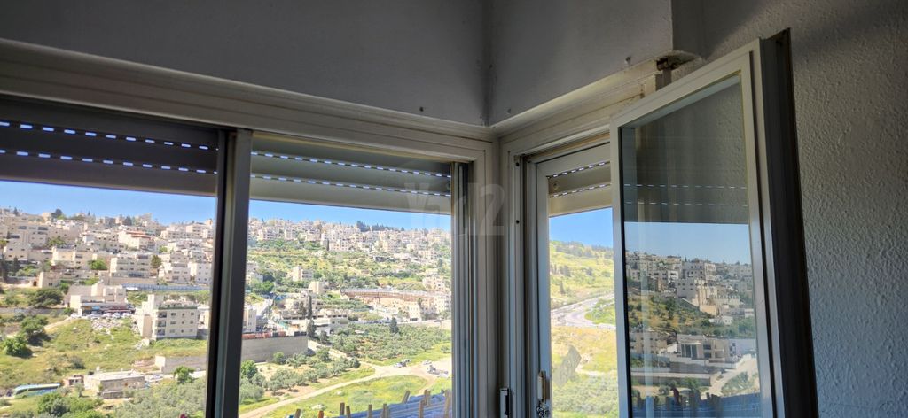 ארמון הנציב, תלפיות מזרח