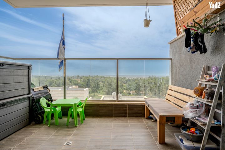 אורן 12