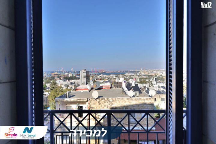 דוד רזיאל 