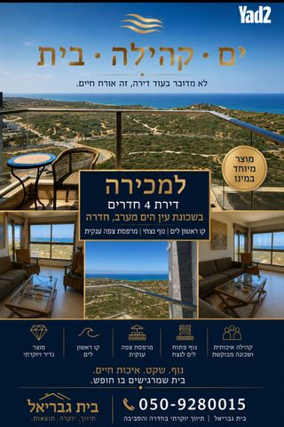 עין גדי 
