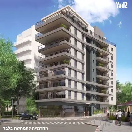שיינקין 