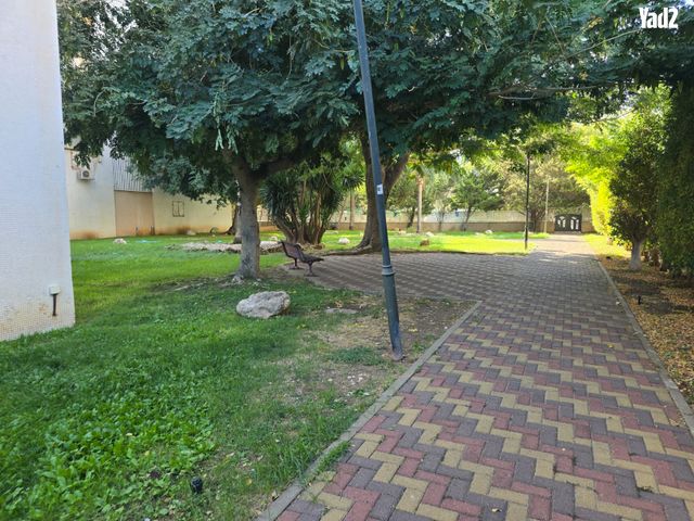 חיים 
