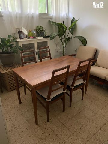 דוד ילין 2