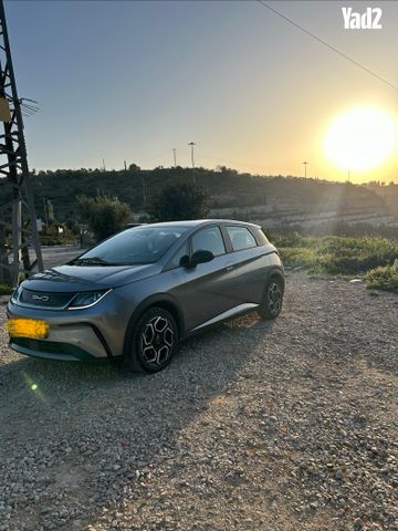 מודעת רכב בי.ווי.די דולפין