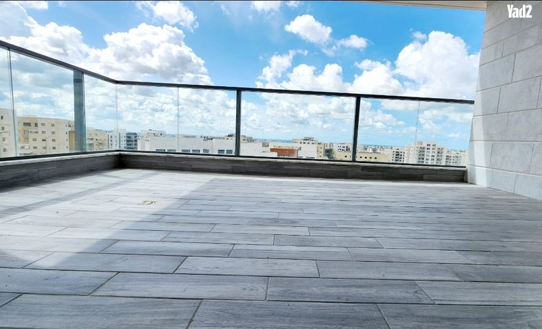 ברקת 20