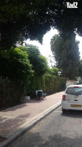 יעקב קינמון 17
