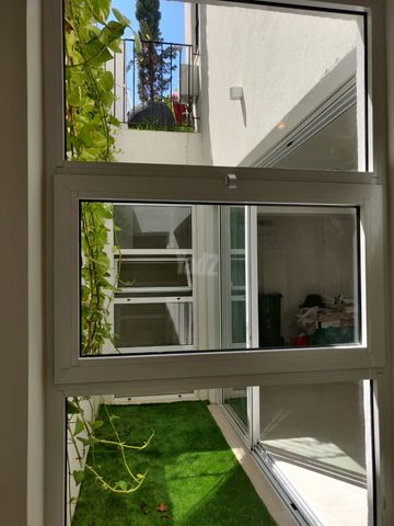מרתף/ פרטר להשכרה בתל אביב יפו — 3