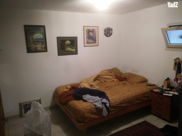 האגוז 103
