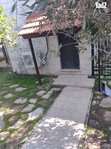 האתרוג 31