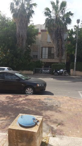 דוד רמז 19
