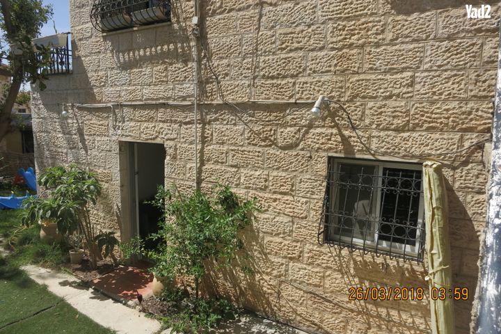 כלנית 8
