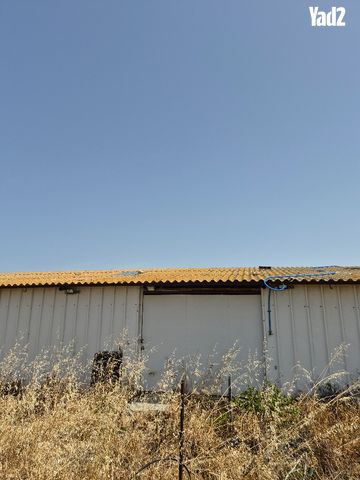 הגפן 1