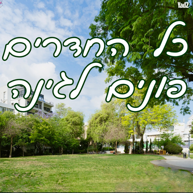 גורדון 