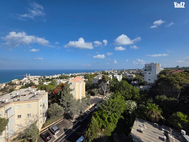 רענן 