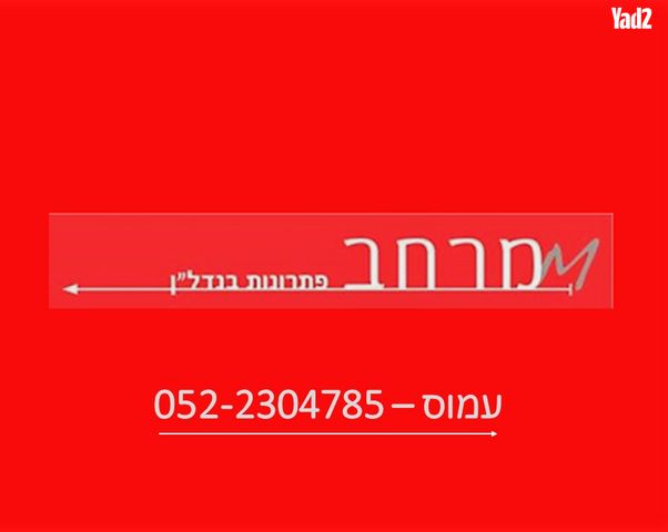 ש"י עגנון 