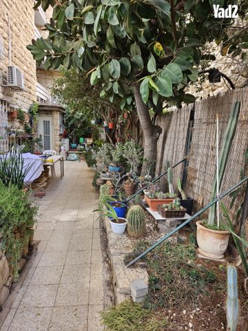 אלכסנדר רובוביץ' 322
