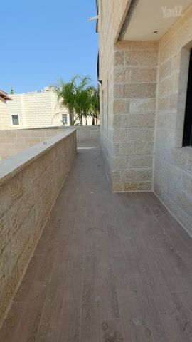 המכבים 