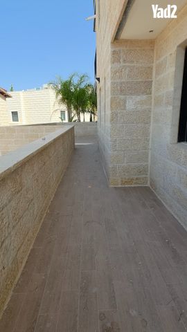 המכבים 