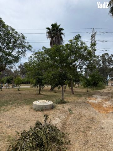 שיכון הותיקים