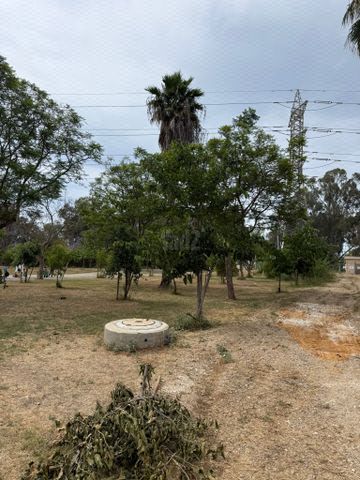 שיכון הותיקים