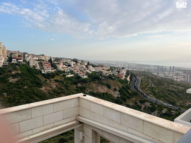 יוסף שכטר 