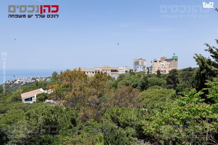 שדרות הנשיא 